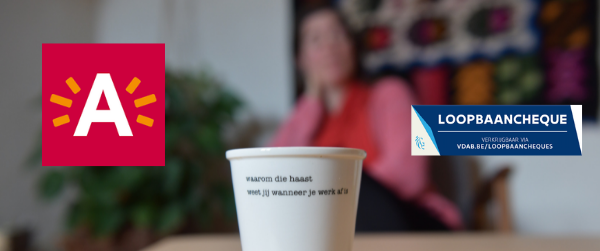Loopbaancheques Antwerpen loopbaanbegeleiding Ilona Plichart